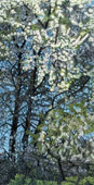 Baumblüte