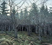 Silberwald
